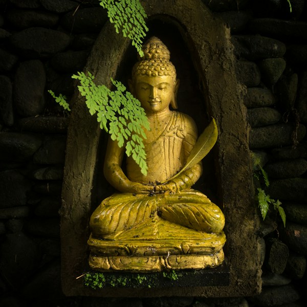 Golden Buddha statue among plants